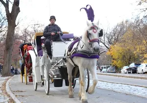 Horse Carriage Tour in New York City's Central Park Small Loop