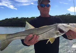 Marco Island Inshore Fishing Charters