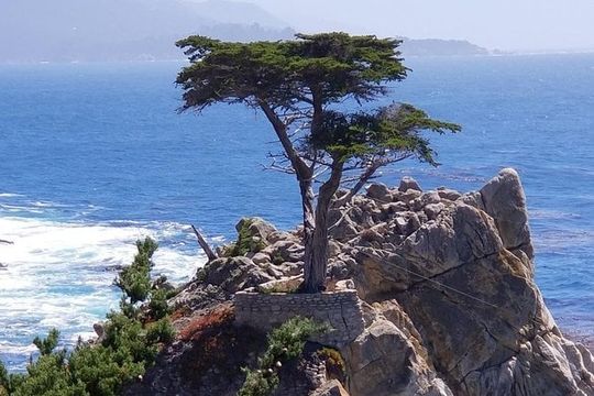 Private Tour to Monterey, Carmel, 17-Mile Drive, Pebble Beach