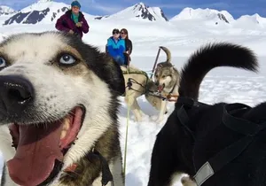 Alaska Helicopter and Glacier Dogsled Tour - ANCHORAGE AREA