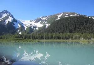 Stunning Turnagain Arm Tour: "A Must See Destination"