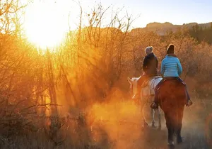 East Zion Checkerboard Evening Shadow Horseback Ride