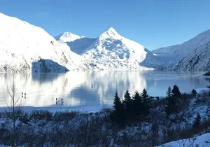 Winter - Wildlife & Turnagain Arm Tour