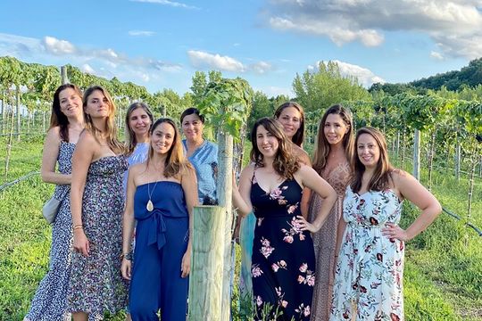 Walkway Over the Hudson & Wineries- Private Transport