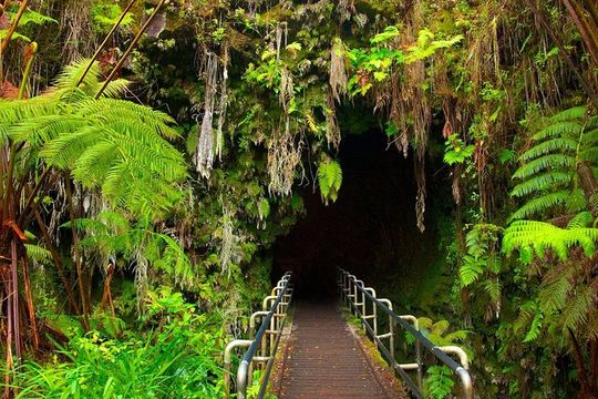 VOLCANO ISLAND - Rrecorrido in Spanish