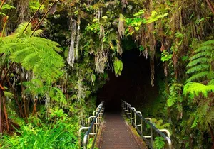 VOLCANO ISLAND - Rrecorrido in Spanish