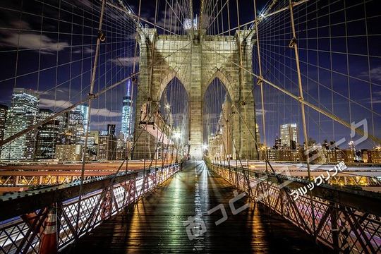 【Japanese Tour】After-Musical Night View Tour (Skyscraper in New York: Spectacular Views of Brooklyn Bridge)