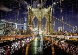【Japanese Tour】After-Musical Night View Tour (Skyscraper in New York: Spectacular Views of Brooklyn Bridge)