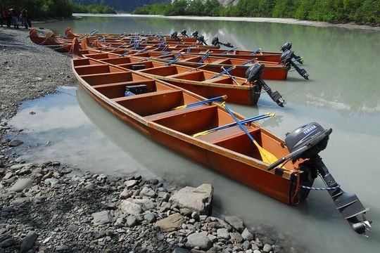 Full-Day Alaska Wildlife Voyageur Canoe Safari from Skagway