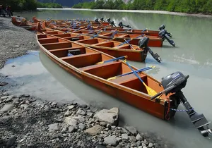 Full-Day Alaska Wildlife Voyageur Canoe Safari from Skagway