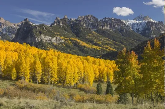 Guidad tur i liten grupp i Rocky Mountain National Park