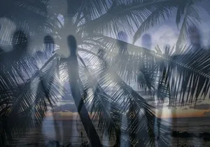 Kona Haunted Hele Ghost Tour