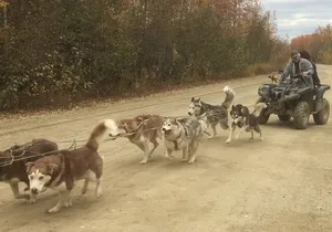 Private Tour for Chena Hot Springs (Free Photo) from Fairbanks