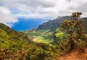 Waimea Canyon Private Tour with Local Guide from Kauai