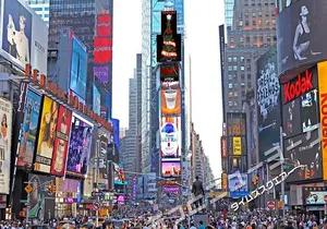 【Japanese Tour】New York City Sightseeing Tour (Full Version)