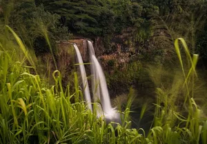 Kauai North Shore Private Guided Tour with Hotel or Port Pick-up