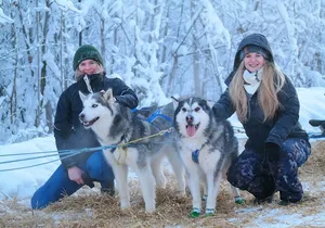 Free Pickup/Drop off: Alaskan Husky Dog Sledding with Free Photo