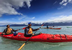 Resurrection Bay Kayaking Adventure