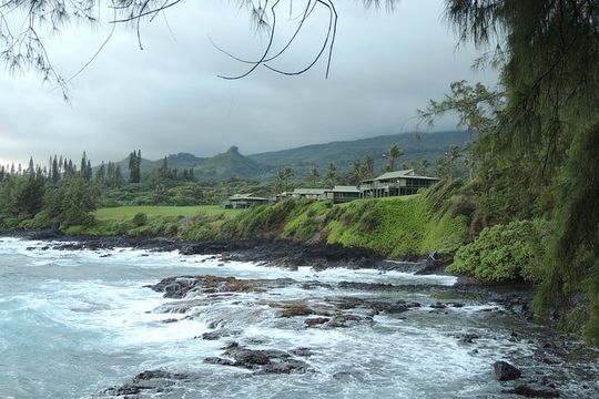 Road to Hana Maui Private Panoramic Tour - In Spanish