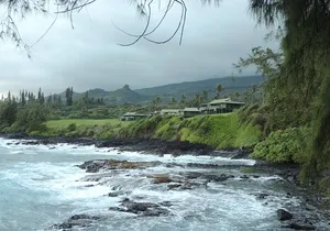 Road to Hana Maui Private Panoramic Tour - In Spanish