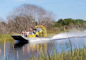90 minute Everglades Airboat Tour near Orlando Florida