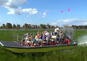 Wild Florida Adventure Package Tour with Transportation