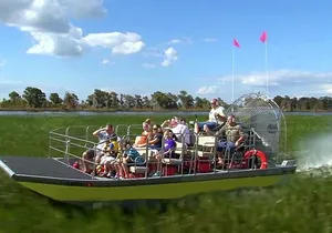 Wild Florida Adventure Package Tour with Transportation