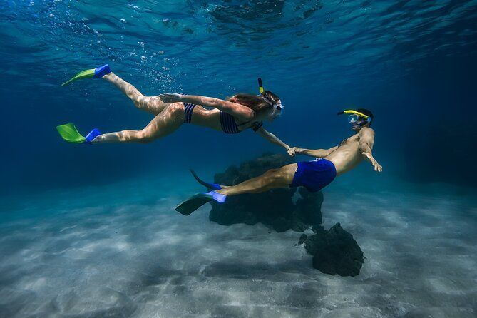 Turtle Town Signature Snorkel: With Photo & Video