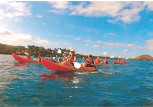 Makena Turtle Town Eco Adventure in Maui