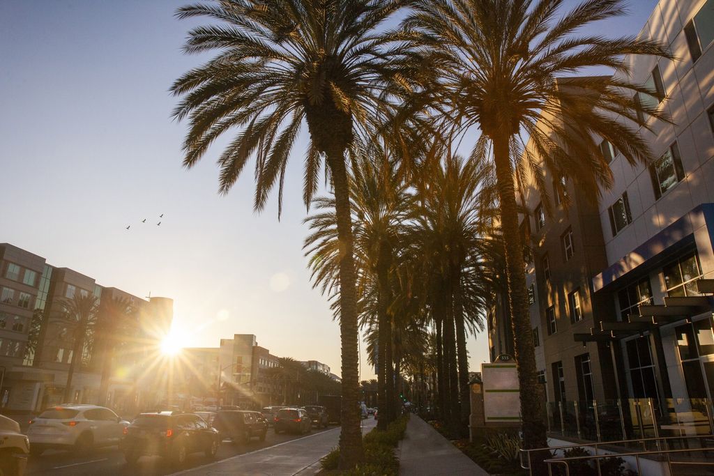 Anaheim & Buena Park