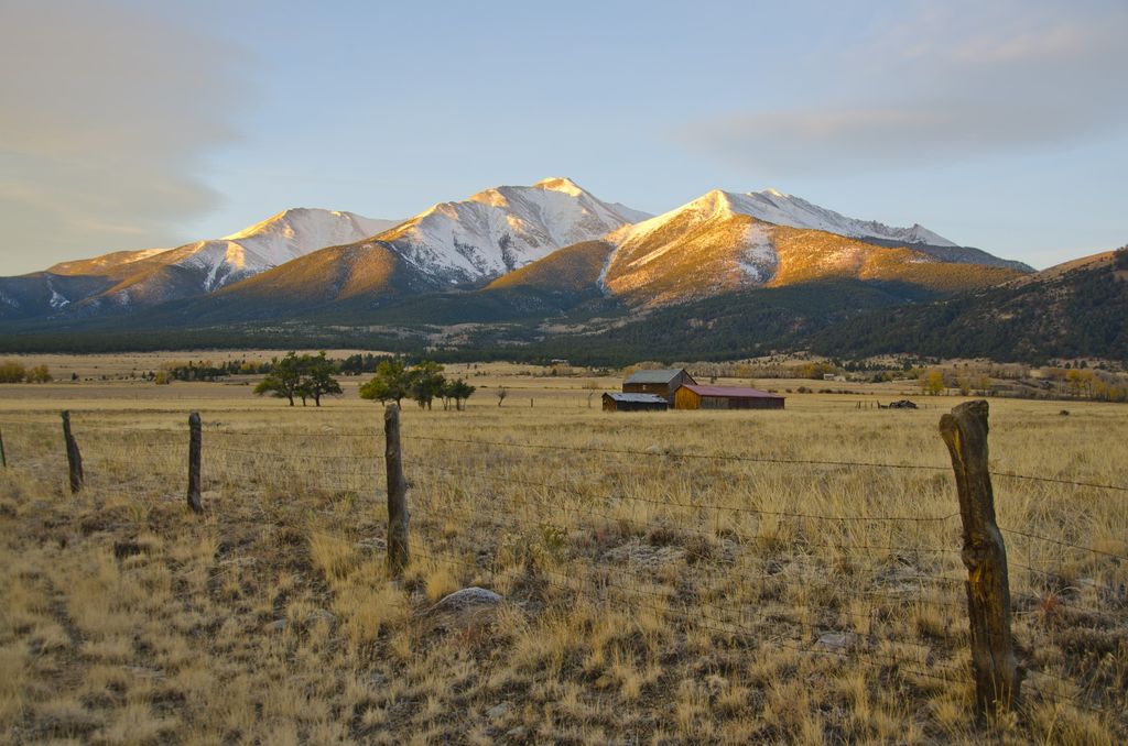 Buena Vista