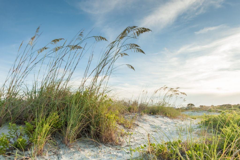 Hilton Head Island