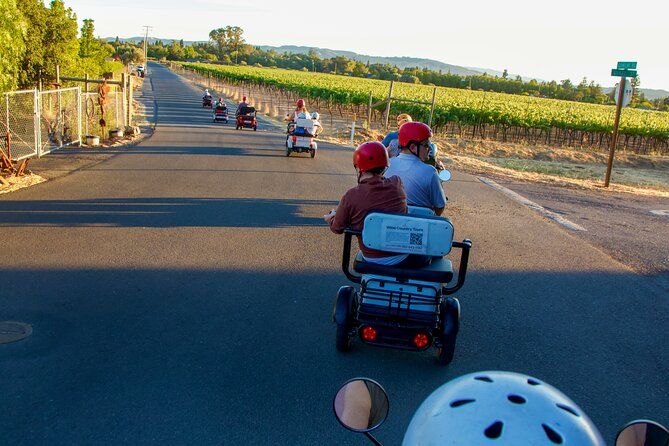 Sonoma Wine Country Electric Trike & Wine Tour - 3 hours