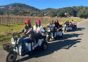 Sonoma Wine Country Electric Trike Tour - 3 hours