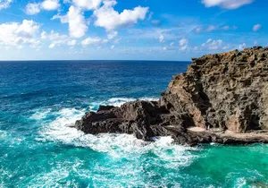 Sights & Bites Ultimate Oahu Circle Island Foodie Tour