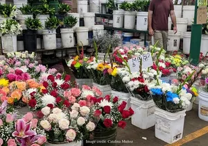 LA’s Fashion & Flower District: Private Half-Day Walking Tour