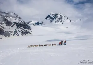 Helicopter Glacier & Dog Sledding Adventure Tour