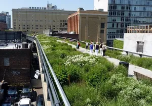 High Line and Hudson Yards Private Walking Tour