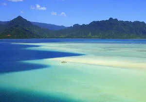 Kaneohe Sandbar Snorkeling Tour - 1st Tour