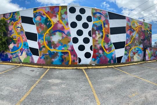 Graffiti Master Class - Wynwood