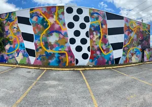 Graffiti Master Class - Wynwood