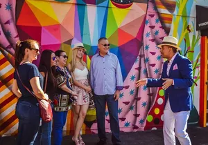 Miami Small Group City Tours of Wynwood Walls and Little Havana