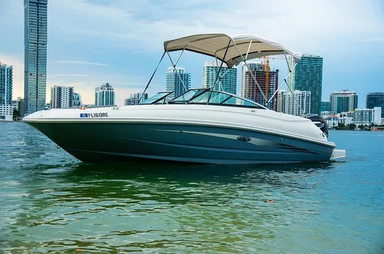 Private Moon-Watch Boat Cruise in Fort Lauderdale