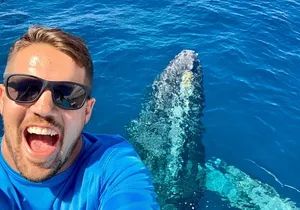 From Maalaea: Whale Watching Tour Aboard the Quicksilver