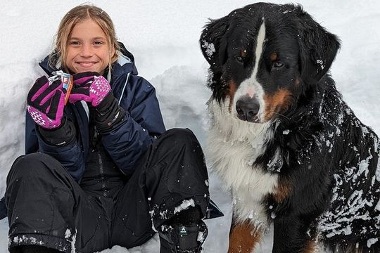 Half Day Snowshoe Hike in Tahoe National Forest