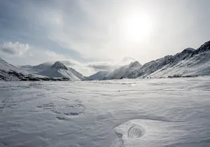Advanced Snowshoeing Adventure