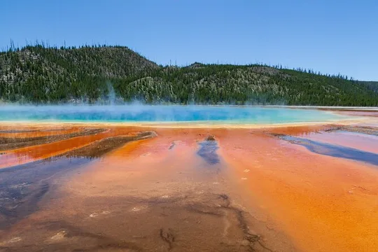 Full Day Yellowstone Nat'l Park Tour From West Yellowstone