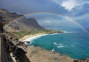 Private Tour of Oahu for 6 to 11 people - up to 8 hours