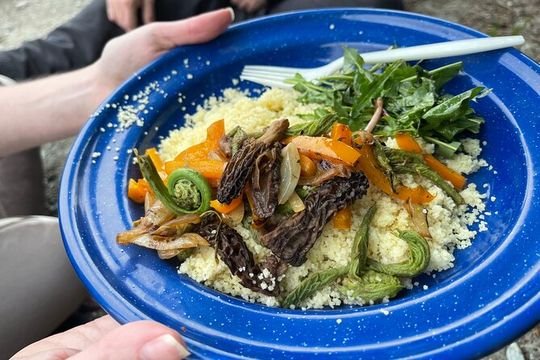 Backcountry Eats & Foraging Treats