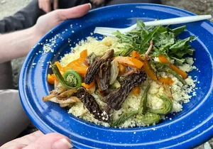 Backcountry Eats & Foraging Treats